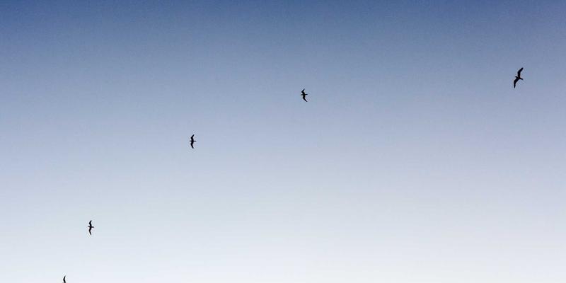 浙江方吉橡塑：专注密封件与工业材料解决方案的行业深耕者