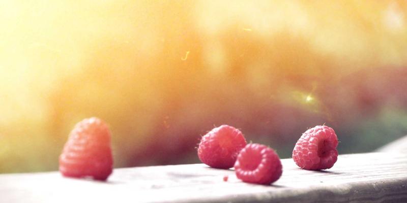 浙江方吉橡塑：为工程机械打造耐高压、抗泥浆磨损的定制密封解决方案