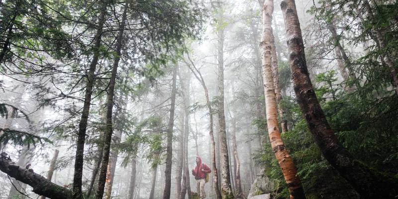 浙江方吉橡塑：从源头到成品的精密掌控，如何确保特种橡胶配方的绝对稳定性与一致性