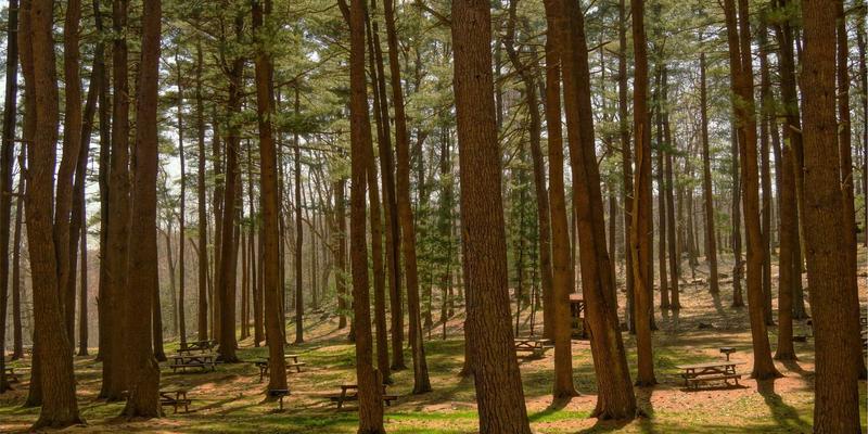 浙江方吉橡塑发展:深耕橡塑制品与密封件领域的技术创新之路