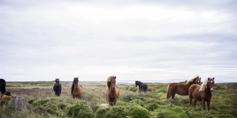 浙江方吉橡塑：如何通过材料改性技术提升氟橡胶在极端高温下的长期稳定性