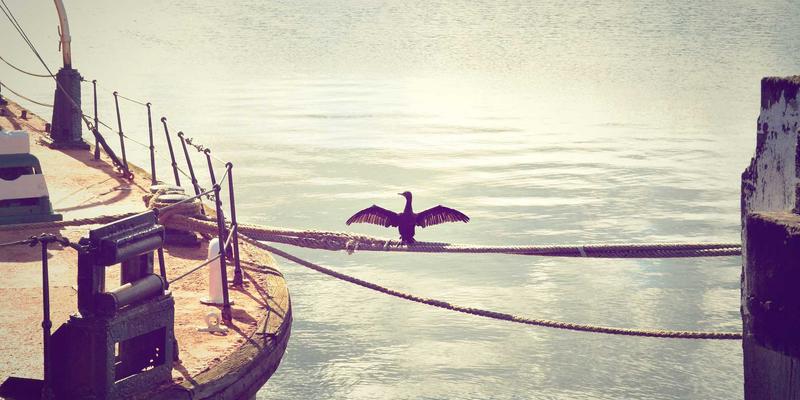 浙江方吉橡塑：揭秘氟橡胶（FKM）在苛刻化学介质中的卓越密封解决方案