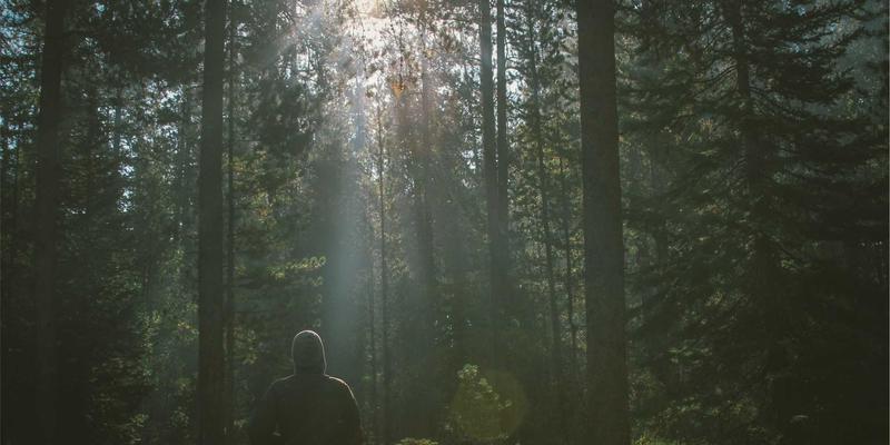 高精度O型圈如何成为液压系统守护神？浙江方吉橡塑专业选型指南